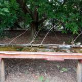 photo 2021-08-06 15-38-56