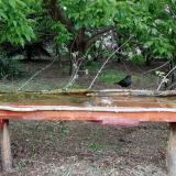 photo 2021-05-06 17-49-00