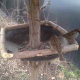 photo 2019-03-08 07-04-17