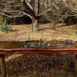 photo 2021-10-26 14-39-45