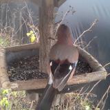 photo 2019-12-25 12-16-53