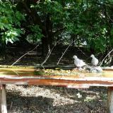 photo 2021-09-07 08-46-15