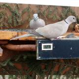 photo 2021-03-05 14-07-35