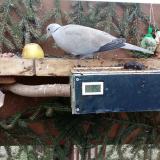 photo 2021-02-02 14-00-22