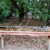 photo 2021-09-20 10-01-12