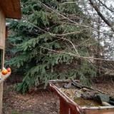 photo 2021-12-16 12-54-46