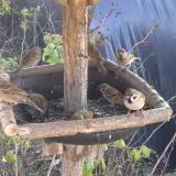 photo 2019-12-16 12-57-34