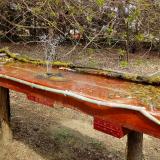 photo 2021-04-03 13-17-29