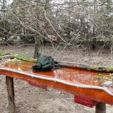 photo 2021-03-22 08-35-09