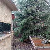 photo 2021-12-30 12-10-16