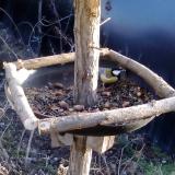 photo 2019-01-03 14-46-48