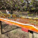 photo 2021-04-08 16-29-50