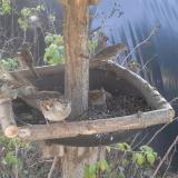 photo 2019-12-16 11-15-53