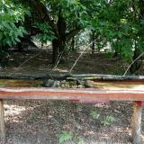 photo 2021-07-13 08-16-37