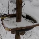 photo 2019-01-05 14-14-40