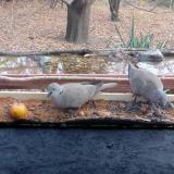 photo 2021-11-07 13-47-39