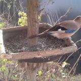 photo 2019-12-19 10-01-52