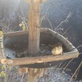 photo 2019-12-30 11-19-14