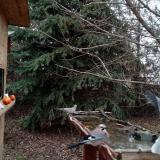 photo 2021-12-15 13-56-33