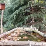 photo 2023-10-08 11-17-12