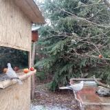 photo 2021-12-28 12-12-08