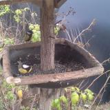 photo 2019-12-13 14-18-38