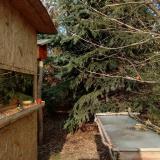 photo 2022-01-13 13-15-29