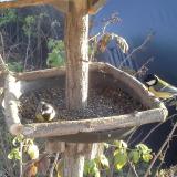 photo 2019-12-11 14-06-08