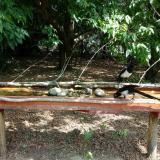 photo 2021-07-14 10-37-34