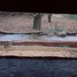 photo 2021-12-09 07-39-21