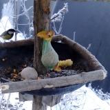 photo 2019-01-21 07-50-16