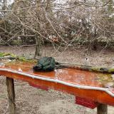 photo 2021-03-25 09-19-16