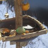 photo 2019-01-27 09-45-10