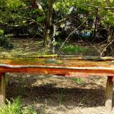 photo 2021-04-25 14-05-54