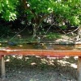 photo 2021-05-08 11-17-07