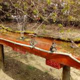 photo 2021-04-06 12-52-16