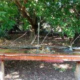 photo 2021-09-06 15-32-09