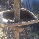 photo 2019-02-27 11-03-47