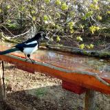 photo 2021-04-09 08-22-14