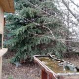 photo 2021-12-12 11-03-51