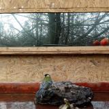 photo 2022-01-31 09-29-51