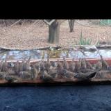 photo 2021-11-30 14-15-06