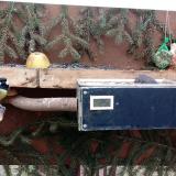 photo 2021-02-07 09-50-48