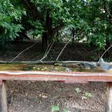 photo 2021-08-04 08-39-57