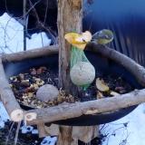 photo 2019-01-14 12-47-40