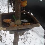 photo 2019-01-24 07-46-17