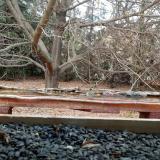 photo 2021-11-01 15-04-15