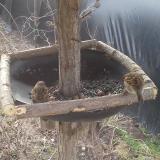 photo 2019-03-04 09-04-47