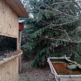 photo 2022-01-05 08-48-11