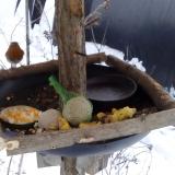 photo 2019-01-22 14-56-37